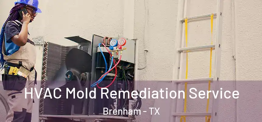  HVAC Mold Remediation Service Brenham - TX
