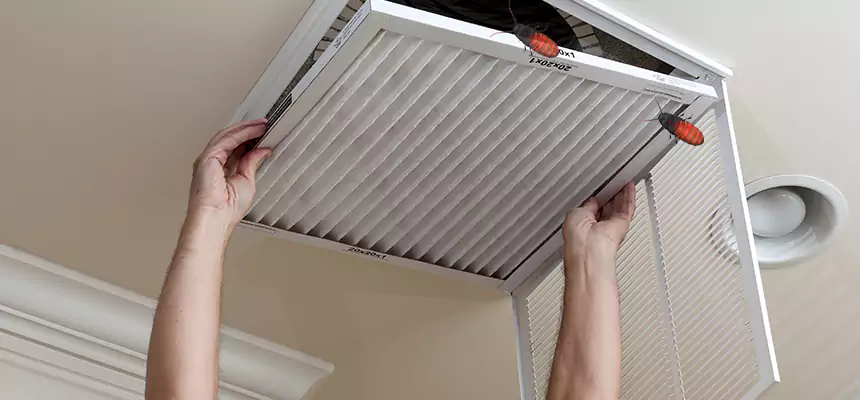 Preventive Cockroach-Proofing for Ducts in Brenham