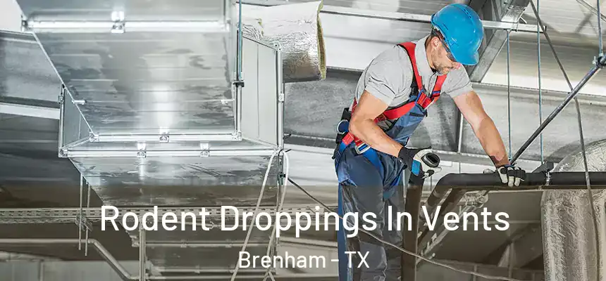  Rodent Droppings In Vents Brenham - TX