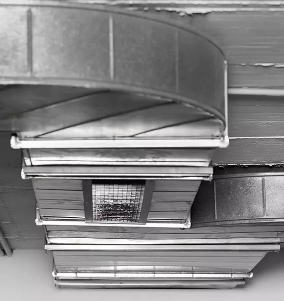 Professional Air Duct Pest Removal in Brenham, TX