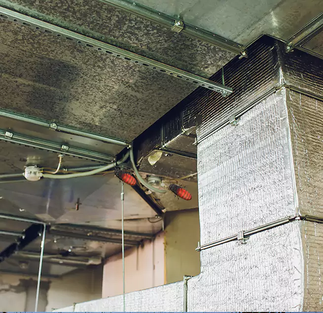 Why Homeowners & Businesses Trust Us in Brenham, TX?