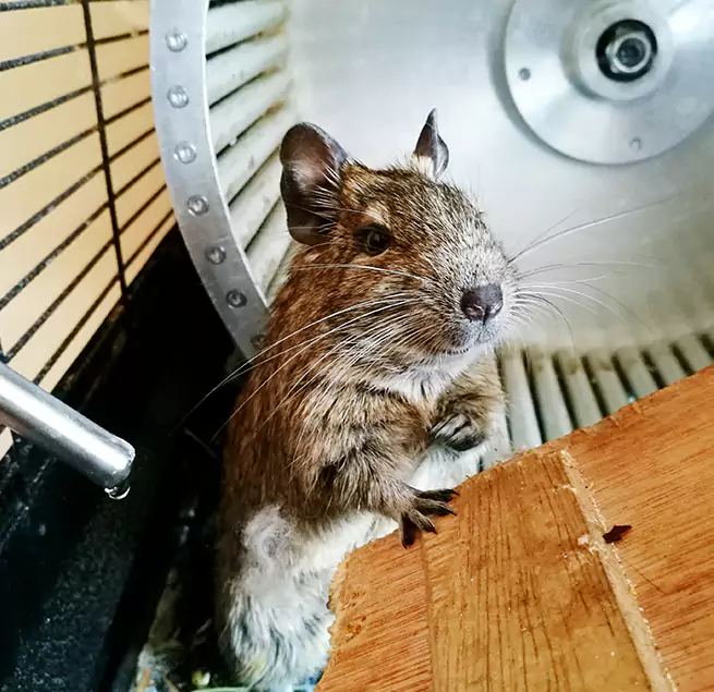 Why Homeowners & Businesses Trust Us Brenham, TX